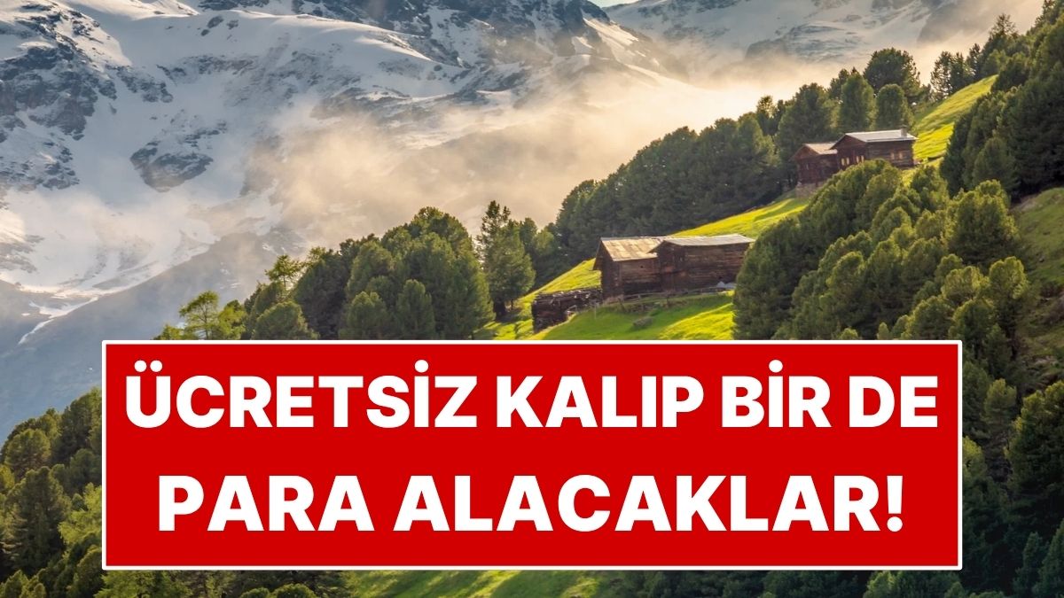 İtalya Alpleri’nde kulağa tatil gibi gelen ama aslında bilimsel araştırma