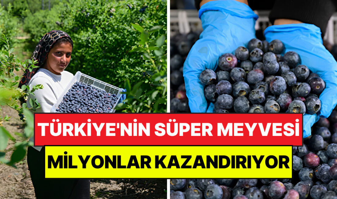 Türkiye genelinde geçen yıl 6 bin 150 ton üretimi ve