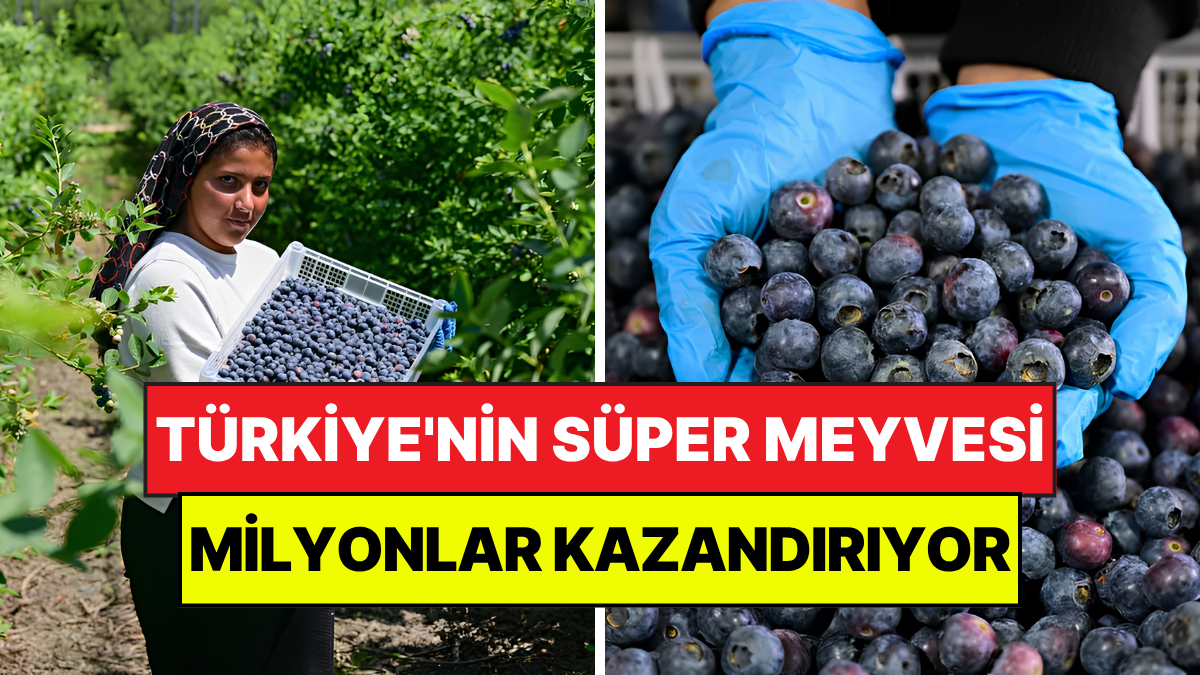 Türkiye genelinde geçen yıl 6 bin 150 ton üretimi ve