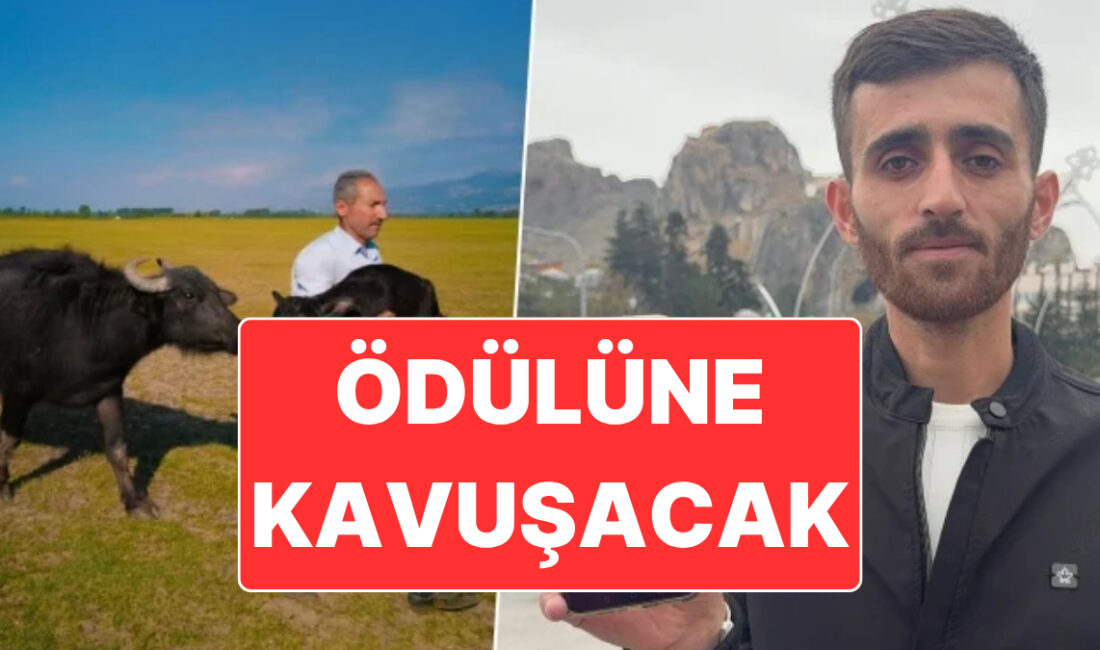 Tokat’ta yaşayan amatör fotoğrafçı Mehmet Emin Coruş, Paris'te düzenlenen Uluslararası
