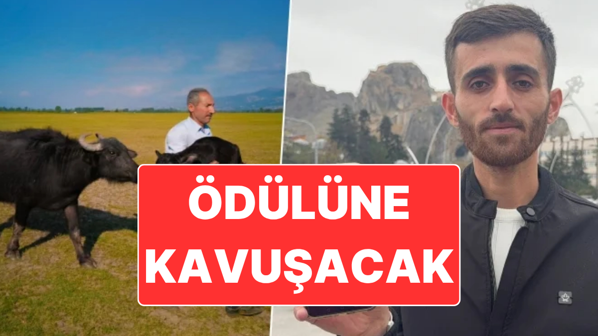 Tokat’ta yaşayan amatör fotoğrafçı Mehmet Emin Coruş, Paris'te düzenlenen Uluslararası
