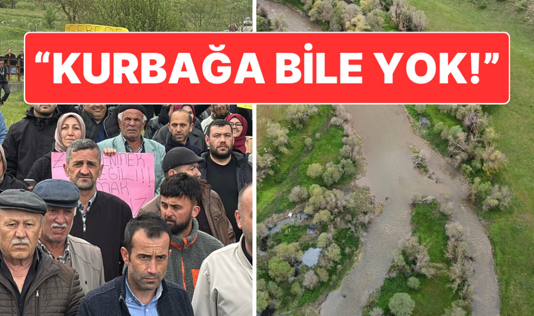 Bolu’nun Gerede ilçesinde bulunan Deri ve Karma Organize Sanayi Bölgesi’ndeki