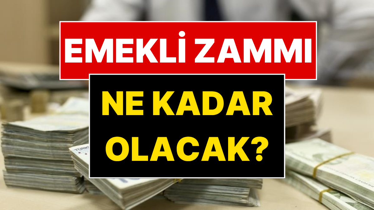 Temmuz ayında milyonlarca emeklinin maaş zammı belli olacak. Enflasyon verilerine