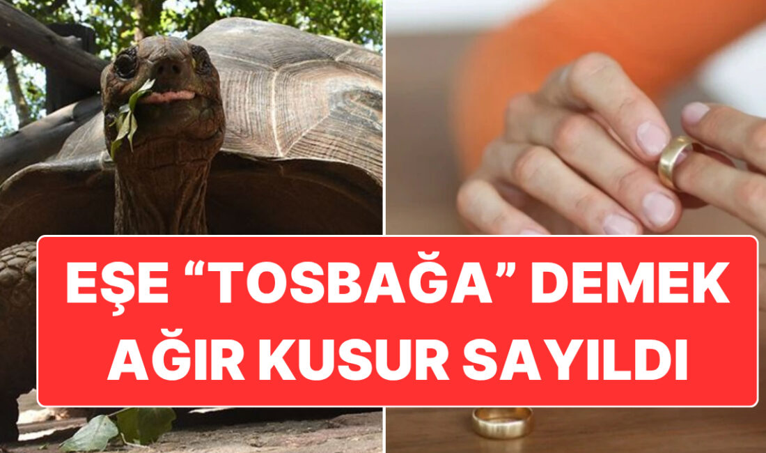 Yargıtay’a taşınan bir boşanma davasında 2. Hukuk Dairesi, kadına “tosbağa,
