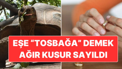Yargıtay’a taşınan bir boşanma davasında 2. Hukuk Dairesi, kadına “tosbağa,