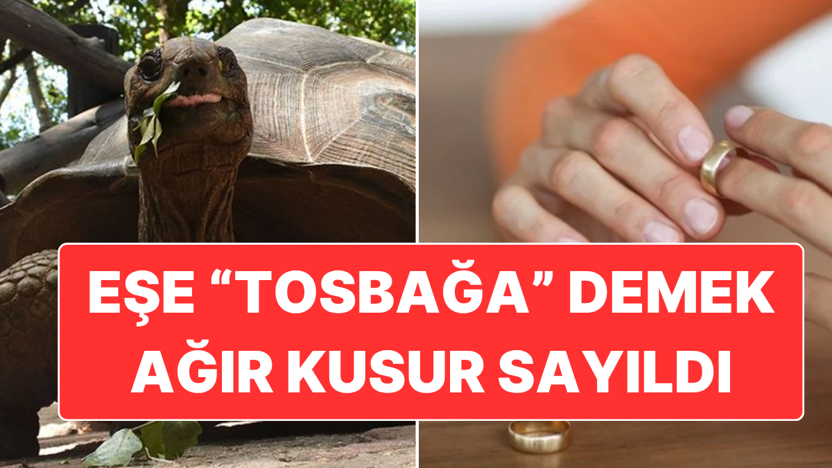 Yargıtay’a taşınan bir boşanma davasında 2. Hukuk Dairesi, kadına “tosbağa,