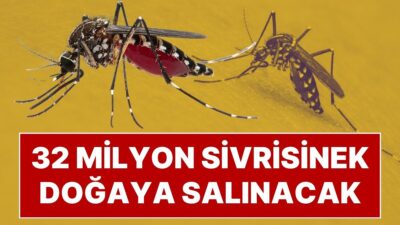 Teknoloji devi Google, ölümcül hastalıklarla mücadele etmek için laboratuvar ortamında