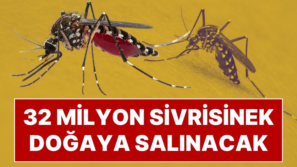 Teknoloji devi Google, ölümcül hastalıklarla mücadele etmek için laboratuvar ortamında