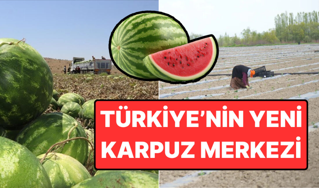 Karpuz deyince aklımıza Diyarbakır ve Adana geliyor. Fakat Muş, son