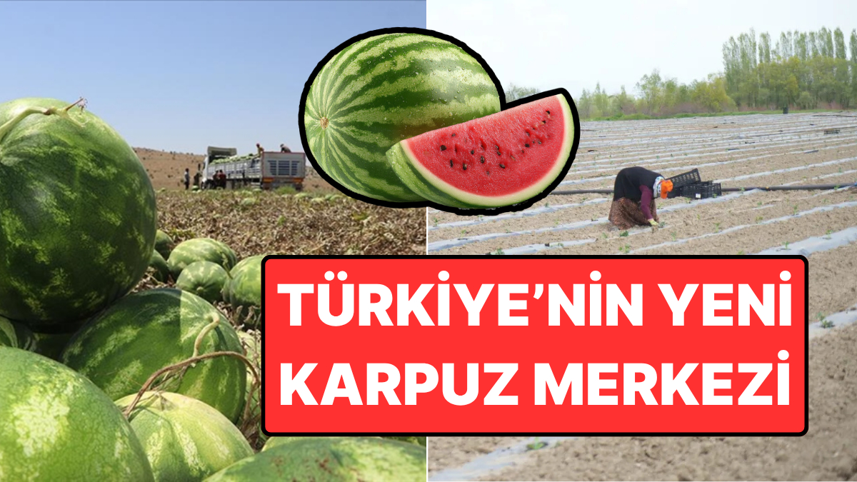 Karpuz deyince aklımıza Diyarbakır ve Adana geliyor. Fakat Muş, son