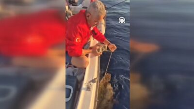 Aydın'ın Kuşadası ilçesinde, ayağına parke taşı bağlanan caretta caretta kurtarıldı.
