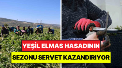 Aydın’ın Efeler ilçesine bağlı Gölhisar Mahallesi’nde, bahar mevsiminin gelmesiyle birlikte
