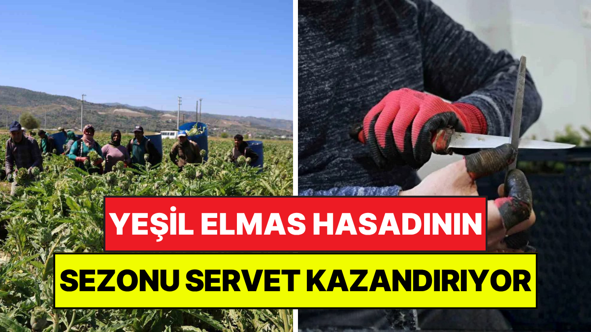 Aydın’ın Efeler ilçesine bağlı Gölhisar Mahallesi’nde, bahar mevsiminin gelmesiyle birlikte